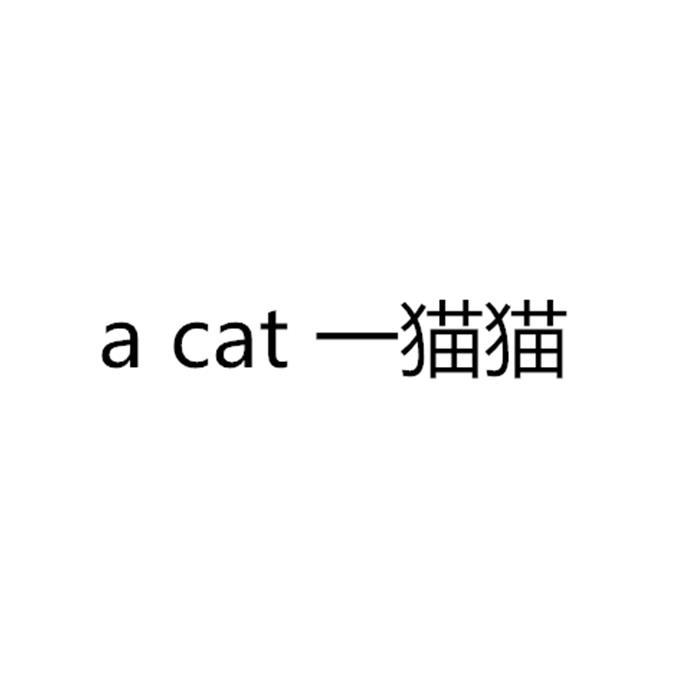 一貓貓 A CAT