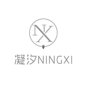 凝汐 NX