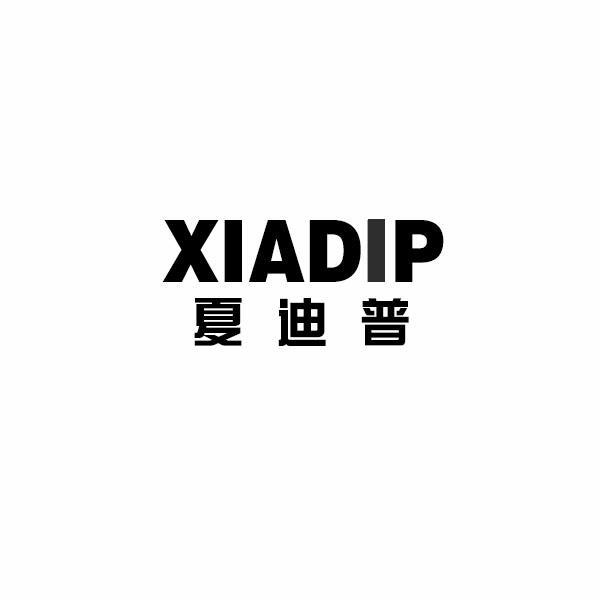 夏迪普  XIADIP