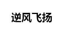 逆风飞扬