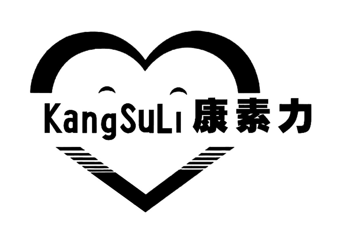 康素力kangsuli