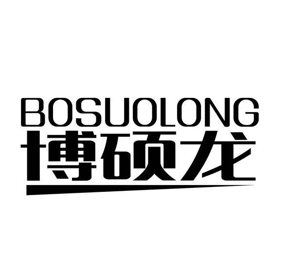 博硕龙 BOSUOLONG