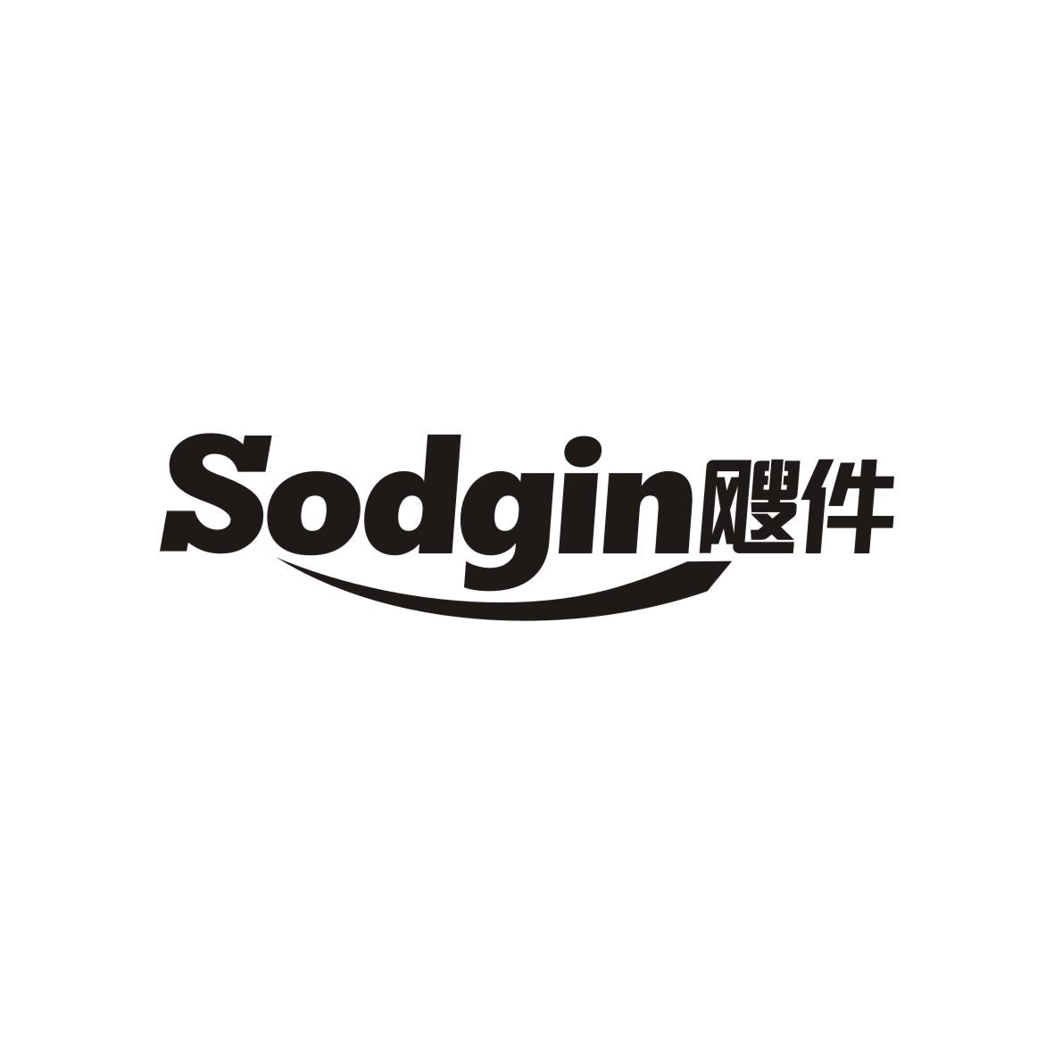 SODGIN飕件