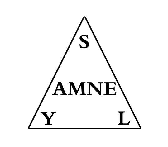 AMNE YSL