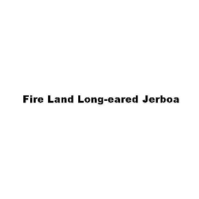 FIRE LAND LONG-EARED JERBOA