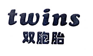 双胞胎 TWINS