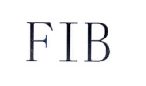 FIB