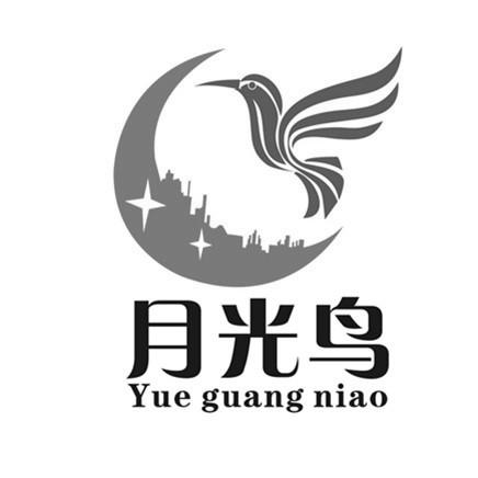 月光鸟