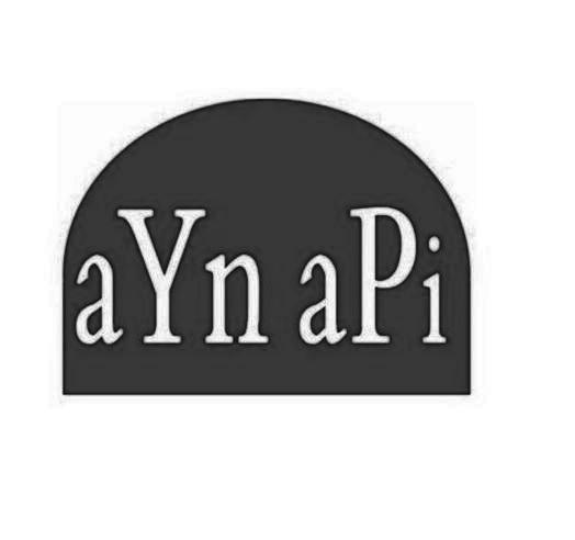 AYN API