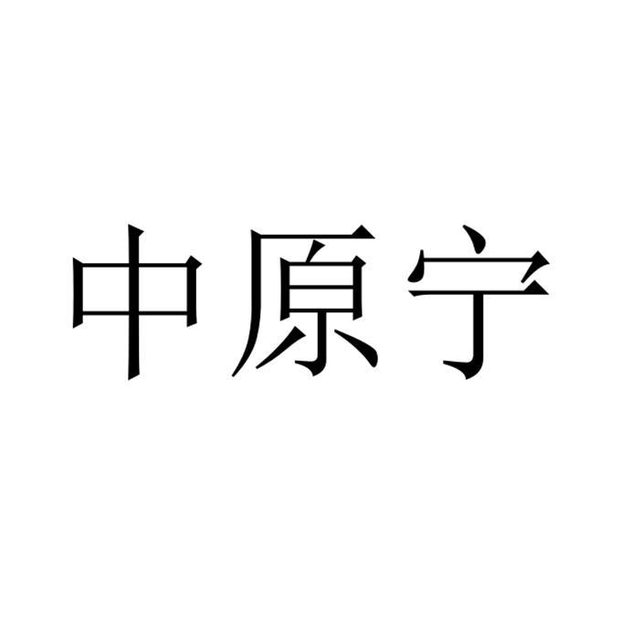 中原宁