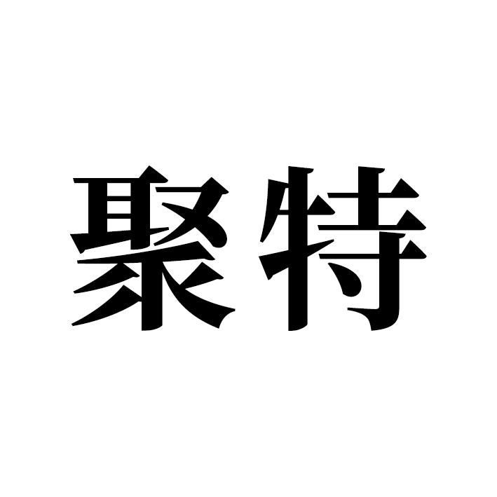 聚特