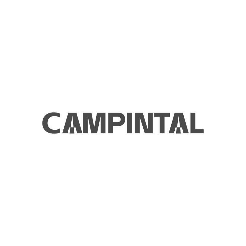 CAMPINTAL