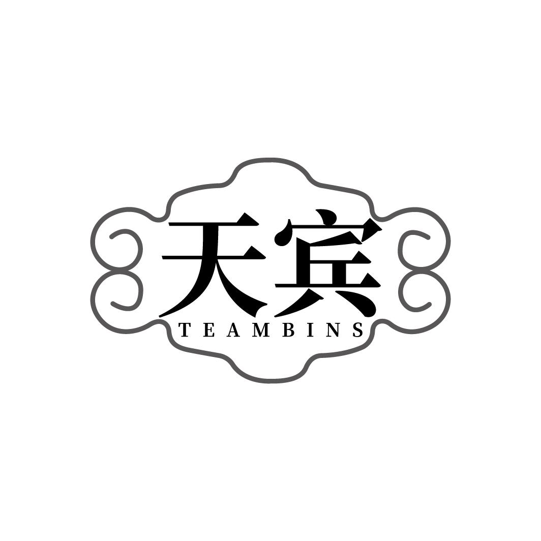 天宾 TEAMBINS