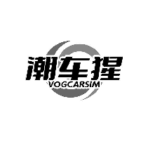 潮车猩 VOGCARSIM