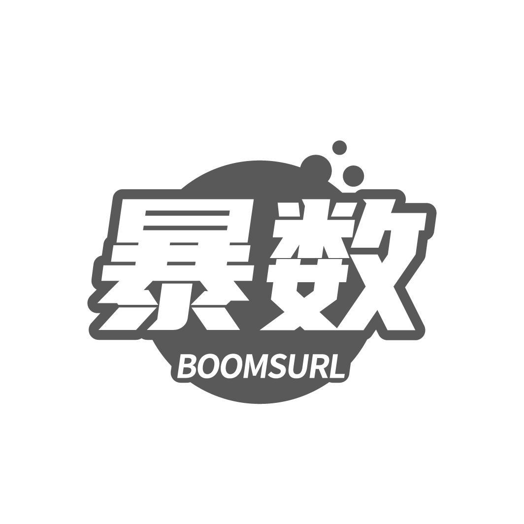 暴数 BOOMSURL