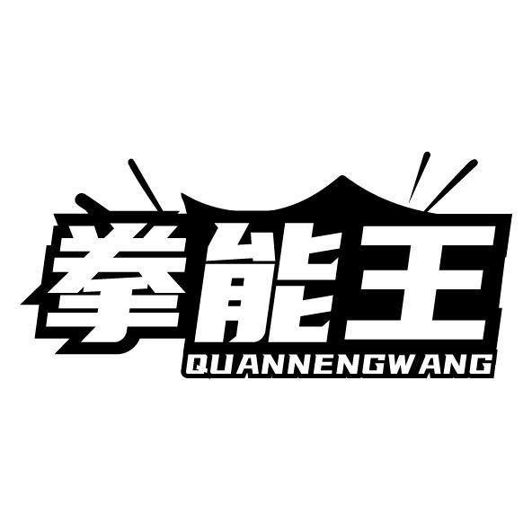 拳能王