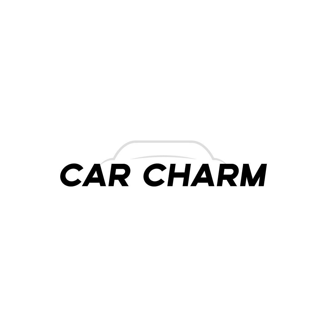 CAR CHARM