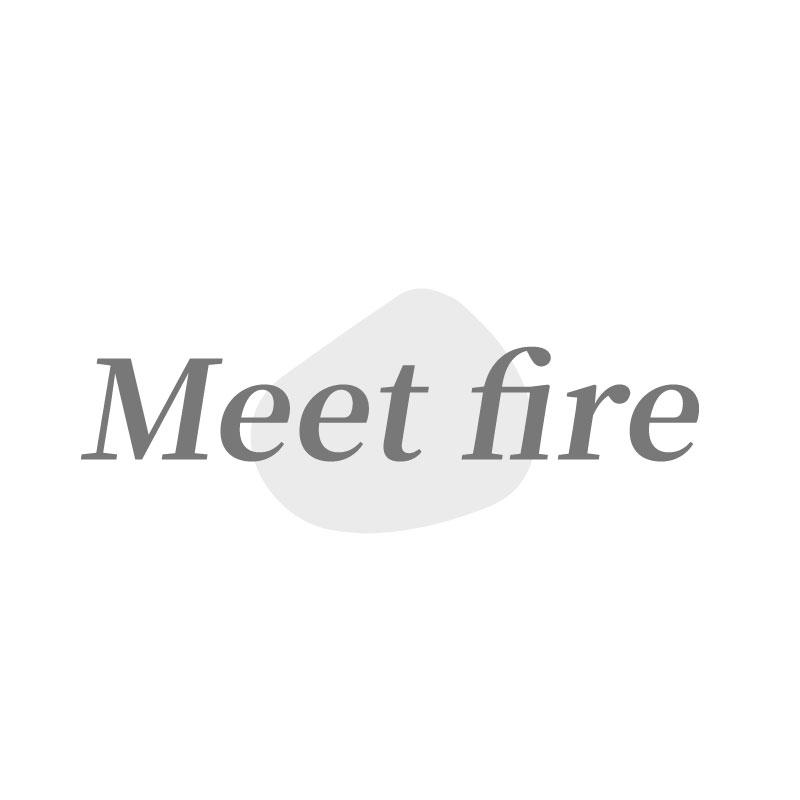 MEET FIRE