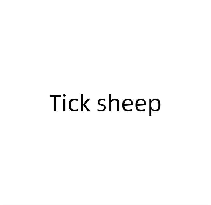 TICK SHEEP