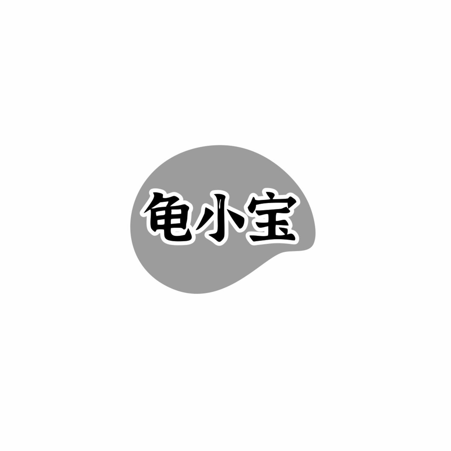 龟小宝