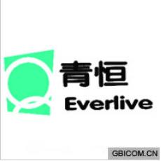 青恒 Q EVERLIVE