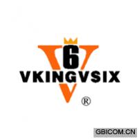 VKINGVSIX V 6