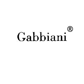 GABBIANI