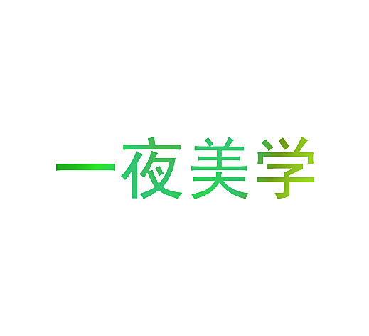 一夜美学