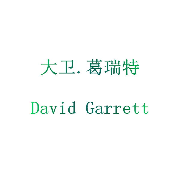 大卫.葛瑞特DAVID GARRETT