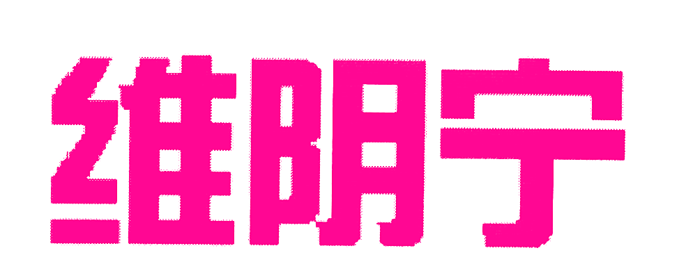 维阴宁