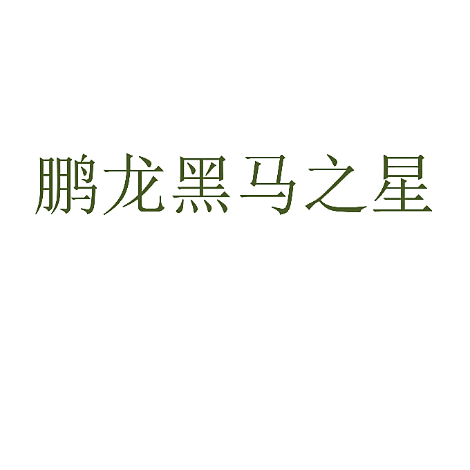 鹏龙黑马之星