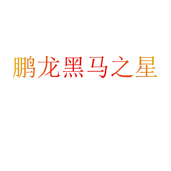 鹏龙黑马之星