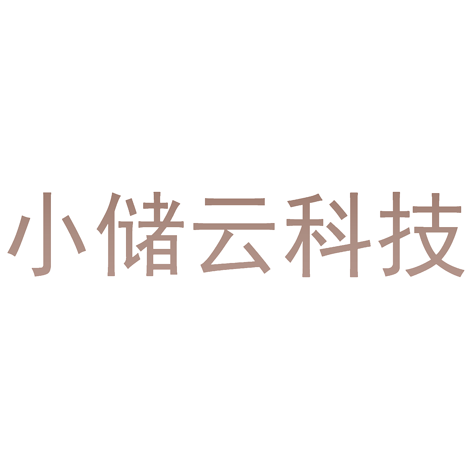 小储云科技