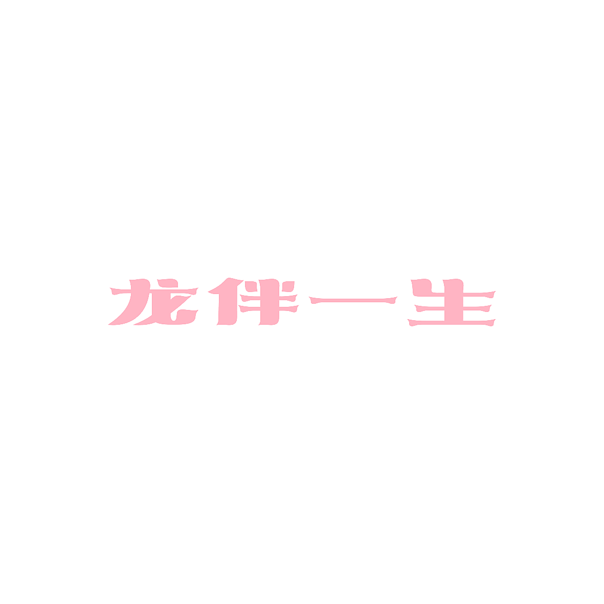龙伴一生