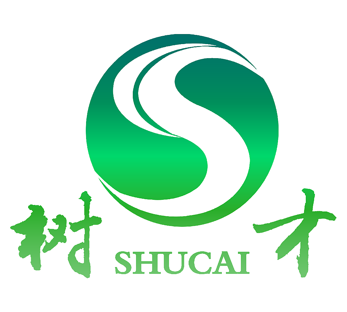树才 S