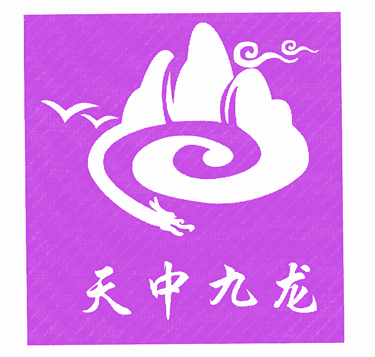 天中九龙