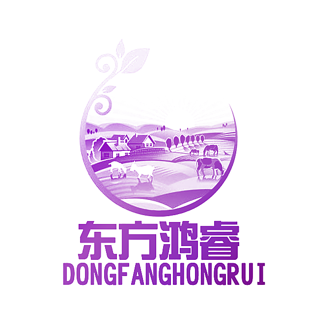 东方鸿睿