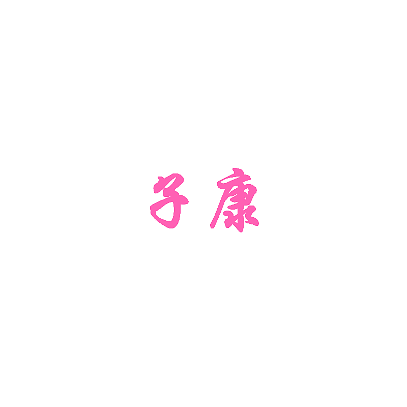 子康