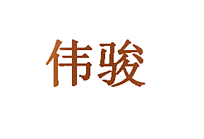 伟骏