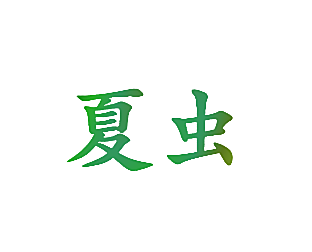 夏虫