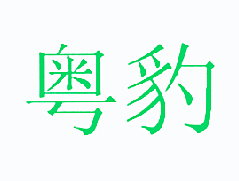粤豹