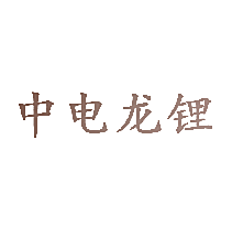 中电龙锂