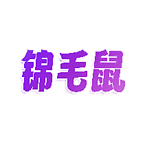 锦毛鼠