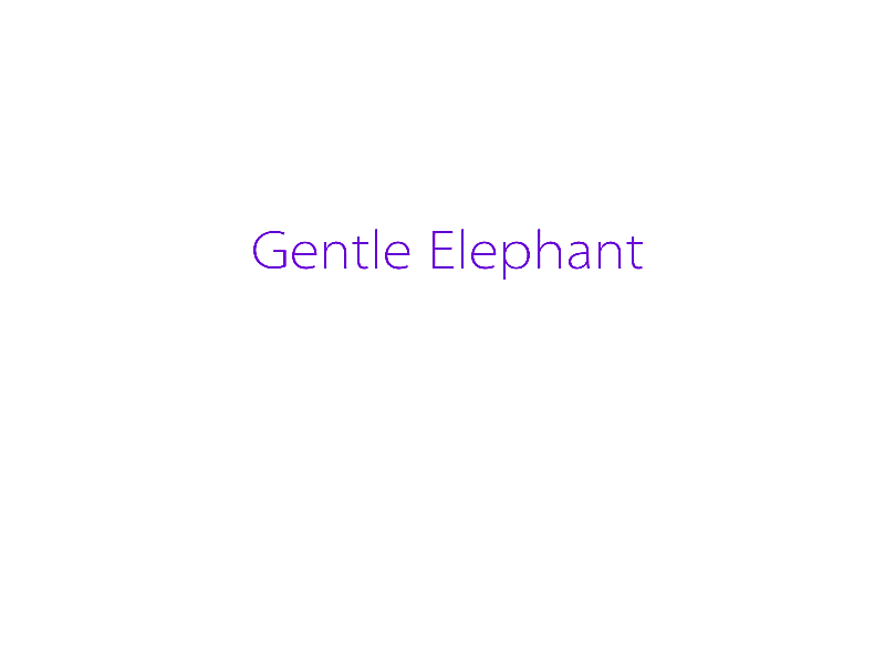 GENTLE ELEPHANT